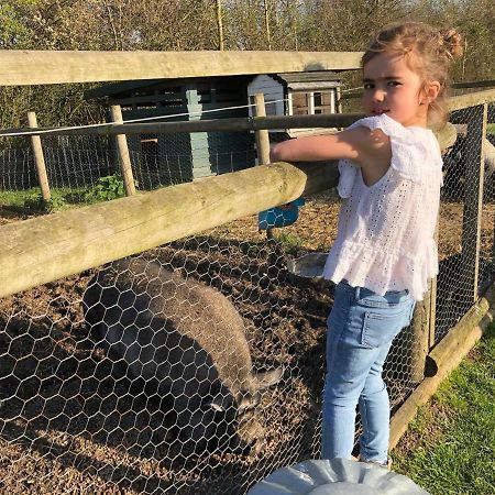 Willow Court Farm Studio East & Petting Farm, 8 Mins To Legoland & Windsor, 15 Mins To Lapland Uk Екстериор снимка