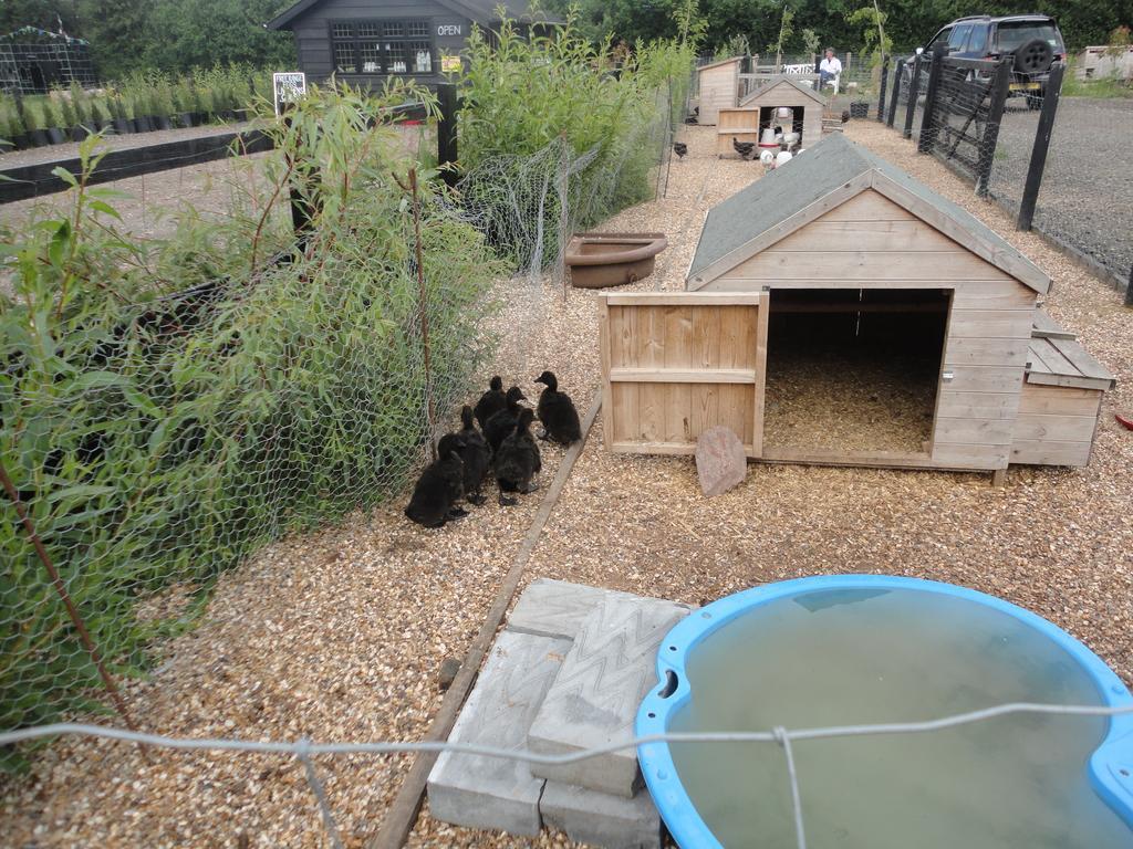 Willow Court Farm Studio East & Petting Farm, 8 Mins To Legoland & Windsor, 15 Mins To Lapland Uk Екстериор снимка