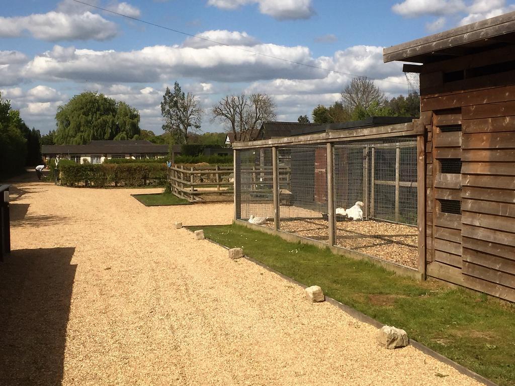 Willow Court Farm Studio East & Petting Farm, 8 Mins To Legoland & Windsor, 15 Mins To Lapland Uk Екстериор снимка
