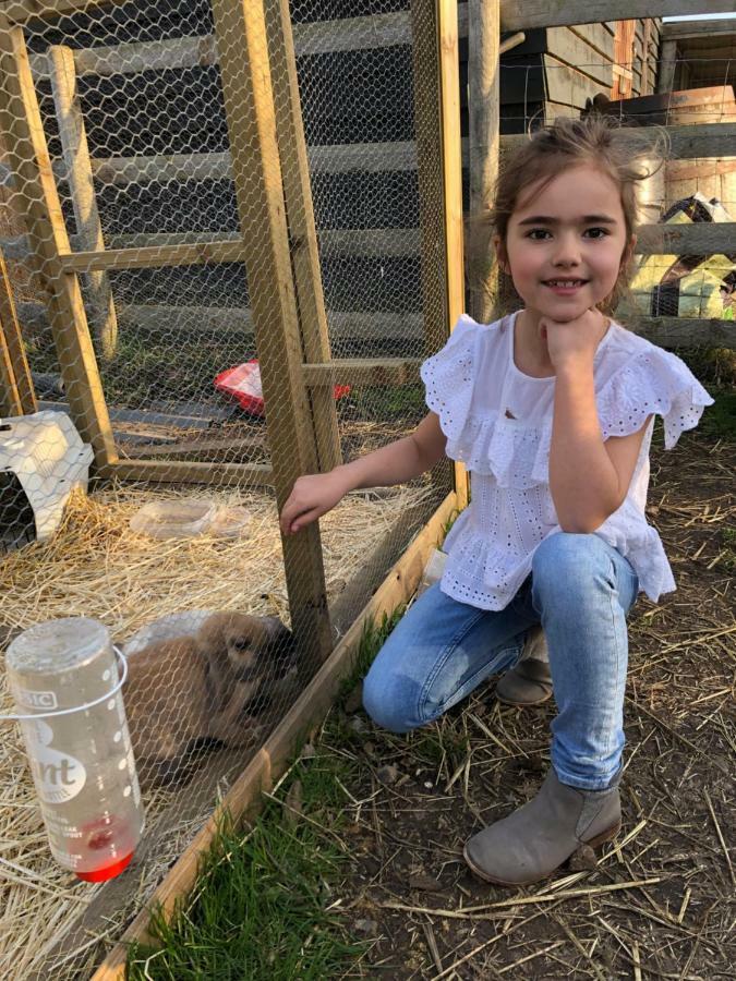 Willow Court Farm Studio East & Petting Farm, 8 Mins To Legoland & Windsor, 15 Mins To Lapland Uk Екстериор снимка