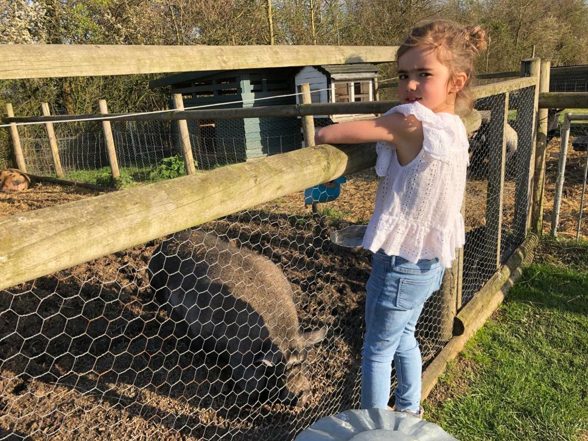 Willow Court Farm Studio East & Petting Farm, 8 Mins To Legoland & Windsor, 15 Mins To Lapland Uk Екстериор снимка