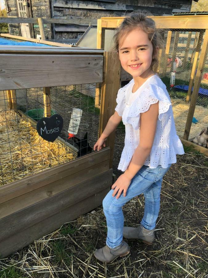 Willow Court Farm Studio East & Petting Farm, 8 Mins To Legoland & Windsor, 15 Mins To Lapland Uk Екстериор снимка
