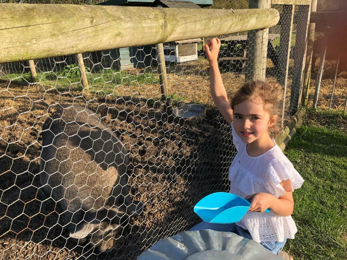 Willow Court Farm Studio East & Petting Farm, 8 Mins To Legoland & Windsor, 15 Mins To Lapland Uk Екстериор снимка